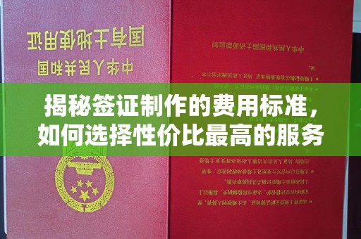 象州揭秘签证制作的费用标准，如何选择性价比最高的服务？