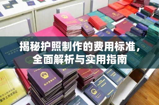 象州揭秘护照制作的费用标准，全面解析与实用指南